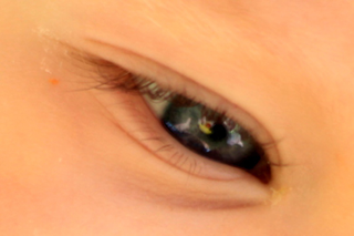 Illustration for article titled 13 Images Reflected In Someone's Eye